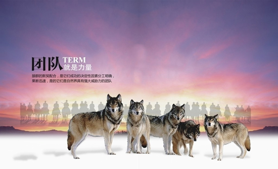 1503021221146308.jpg 4.jpg